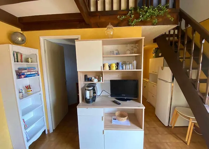 Confortable Pour 6 Avec Terrasse Et Accès Direct à - Fr-1-326-819 Marseillan (Herault)